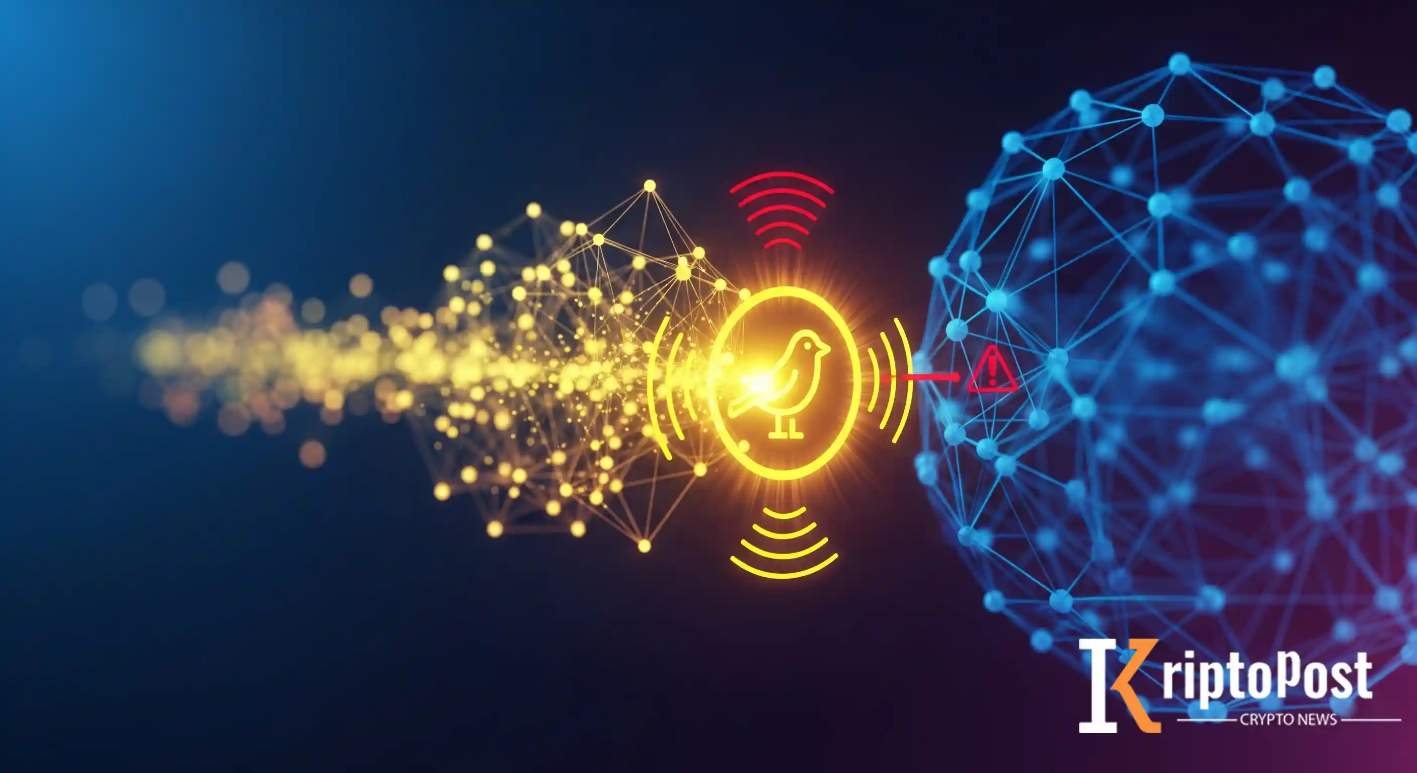 Canary Network Nedir?  Ne İçin Kullanılır?