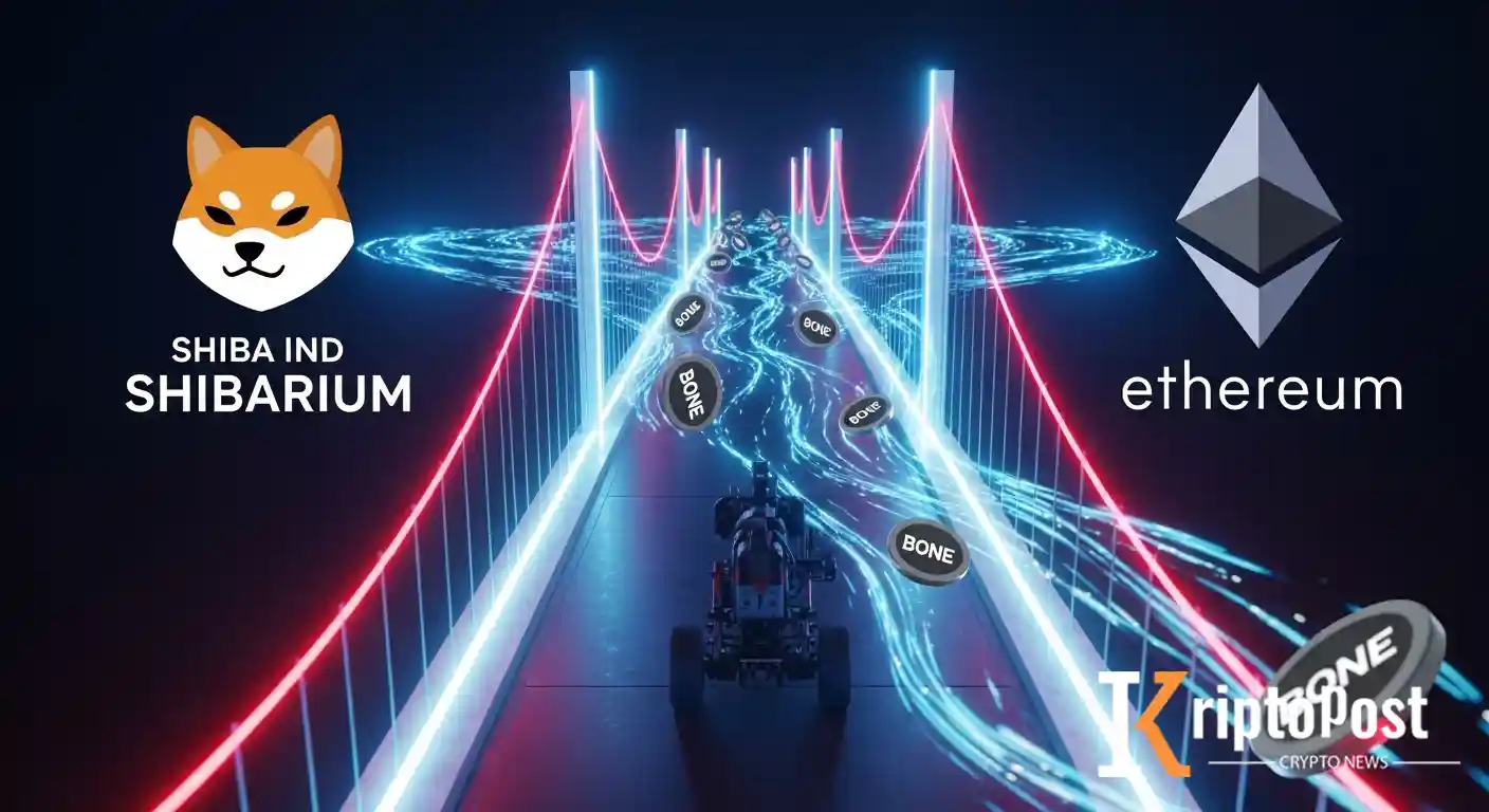 Shibarium'dan BONE İçin Yeni Plasma Köprüsü Duyurusu